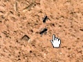 Game Ant Splat