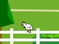 Game Chicken Impossible