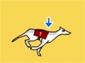 Game Greyhound Racer DX