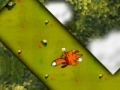 Game Fox Runner