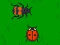 Game The lady bug