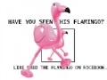 Game Flamingo